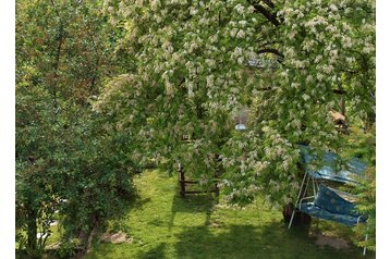 Family pension Balatonkenese 15